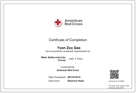 WSI Red Cross Certificate