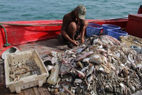 The Dark Truth Behind the Seafood We Consume